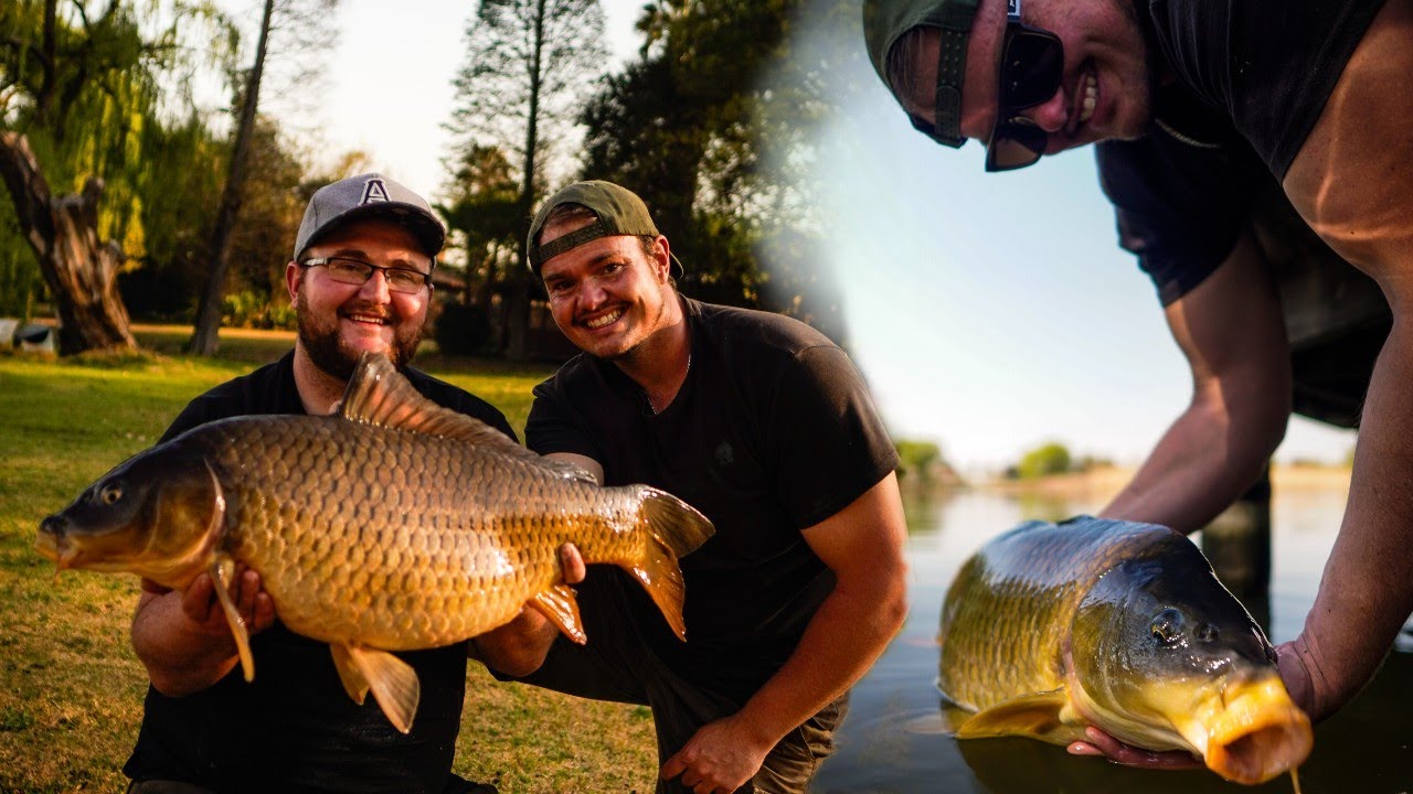 Back yard fishing // Carp fishing South Africa 2020 YouTube