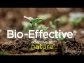 Cytoplan - Effective by nature