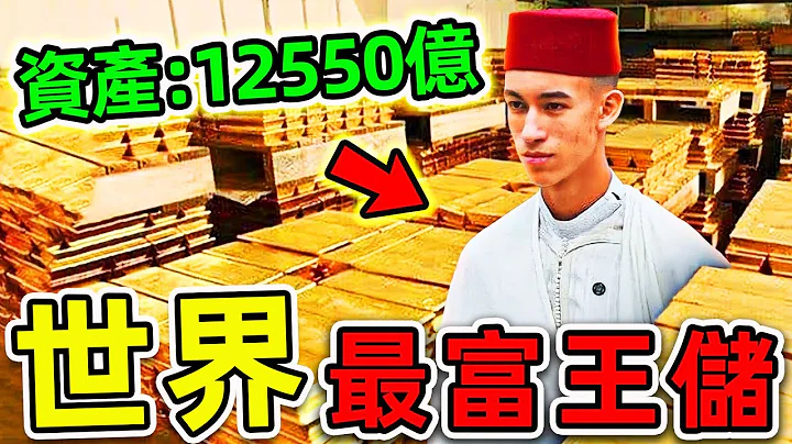 全世界最有钱的10个王子！第一名资产高达12550亿，比英国女王更富80倍，却被称为“男人最爱”。|#世界之最top #世界之最 #出类拔萃 #脑洞大开 #top10 #最富王储 #最有钱王子 - 天天要闻