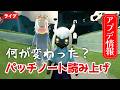 【アプデ情報】パッチノートを一緒に読もう!カーニバルの季節や新しい要素など!ほか【Sky星を紡ぐ子どもたち】