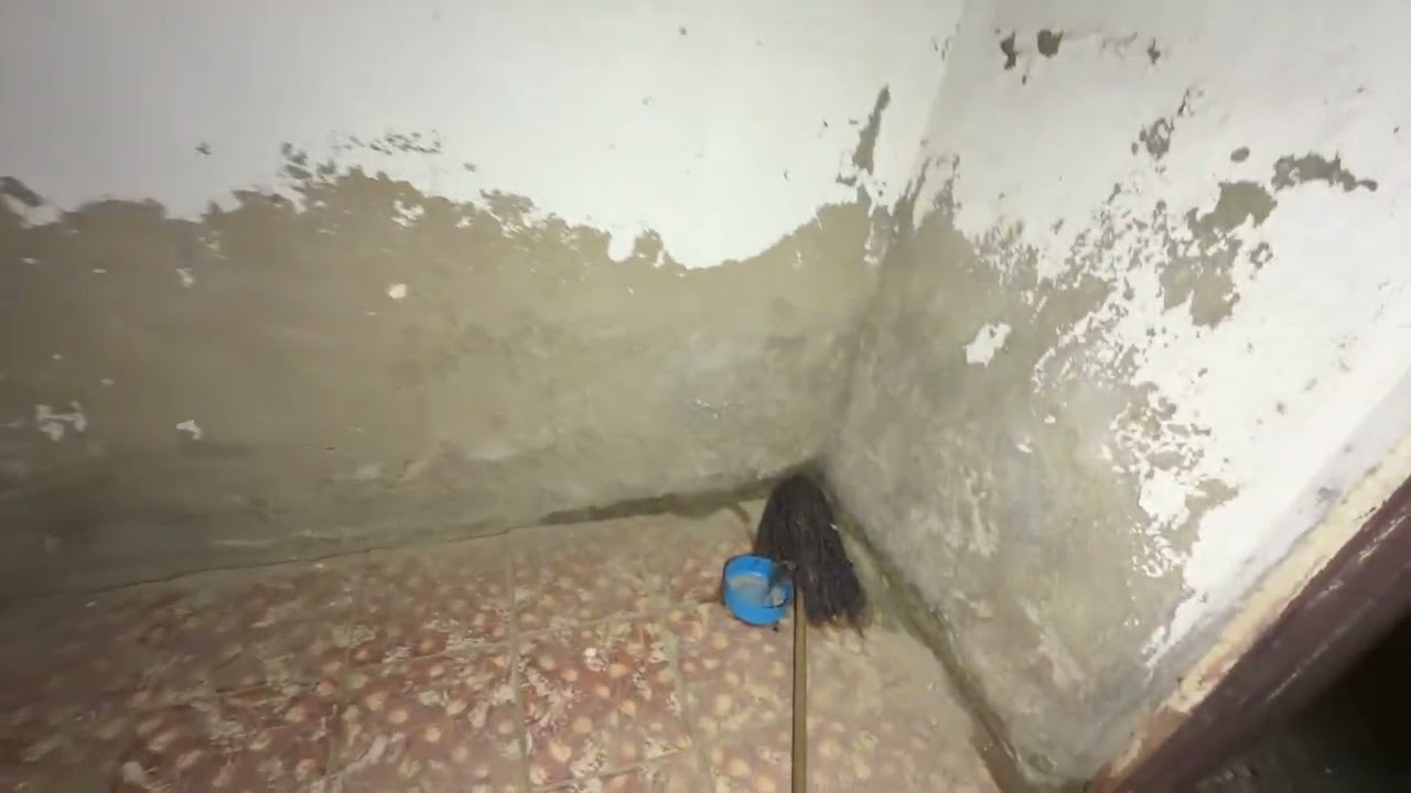 REGRESAMOS AL PANTEON DEL ZACATAL / NOS HABLARON EN EL SPIRIT BOX 