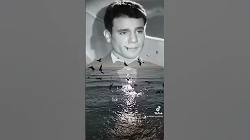 حبك نار عبدالحليم حافظ الزمن الجميل Love Story Trending Trending Reels Viral Fyp Explore Fypシ 