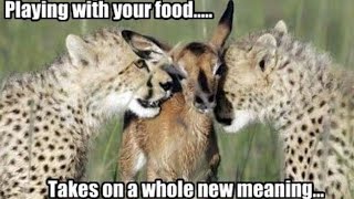 Why You Should Not Play With Your Food...