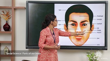 Grade 1 Social Science Parts of the Body