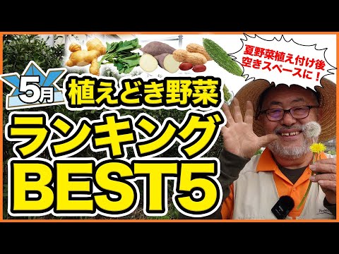 【家庭菜園】夏野菜の栽培開始！家庭菜園や農園で5月初心者おすすめ野菜栽培ランキングベスト５！植え時野菜を徹底解説【農園ライフ】