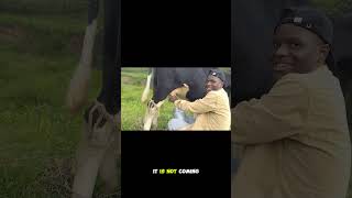 Please Take It Easy, Everything Takes Time