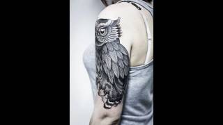 Best owl tattoo designs for women and guys