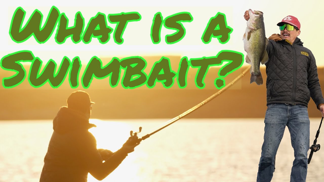 WHAT IS A SWIMBAIT: A Fishing Film 