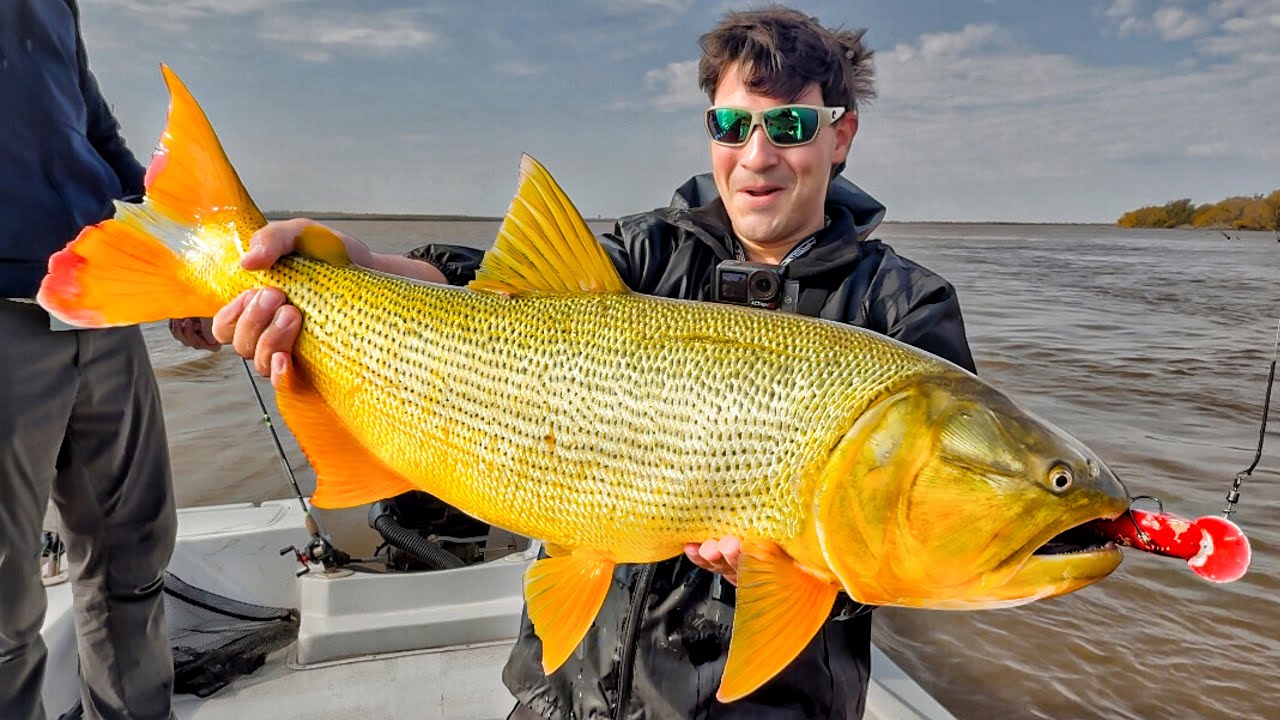 🤯JAMÁS PENSÉ ENCONTRAR este ANIMAL acá | Pesca, baitcasting, dorados Y MÁS‼️