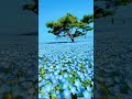 Flower agriculture | phulo ki kheti | sky clour | blue flowers | blue flower agriculture | shorts