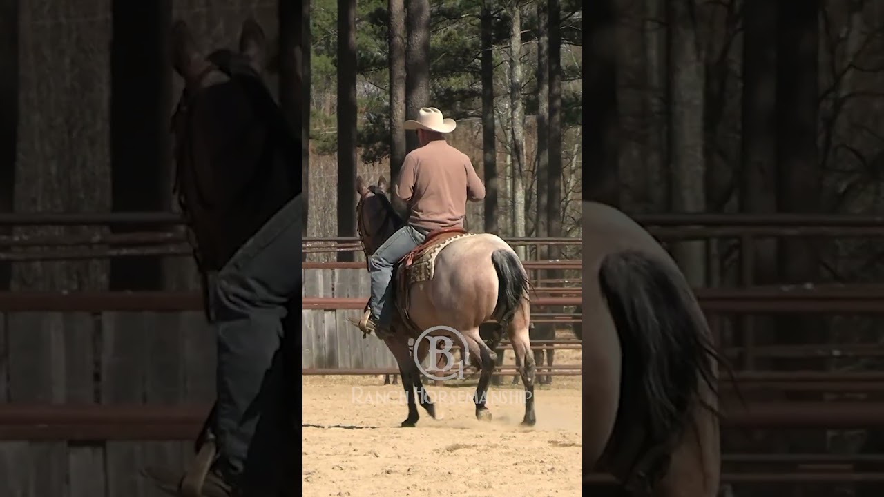Trotting your horse up to the sled