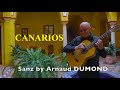 Canarios gaspar sanz by arnaud dumond