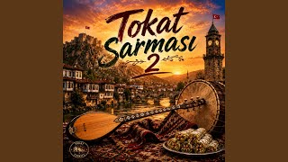 Tokat Sarması 2