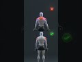 Learn how to train properly in the gym #GymMistakes #ProperForm #WorkoutTips #FitnessMotivativation