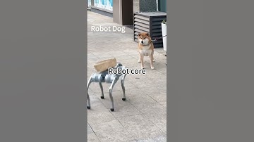 Robots core😅🤣🤣 #funny #comedy #funny video #youtubeshorts #robot #aivideo #fail #fyp #performance