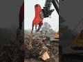 Splitting Stumps - Our Adapter in Action (Customer Video)