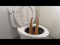 Worlds largest toilet black swimming pool compilation