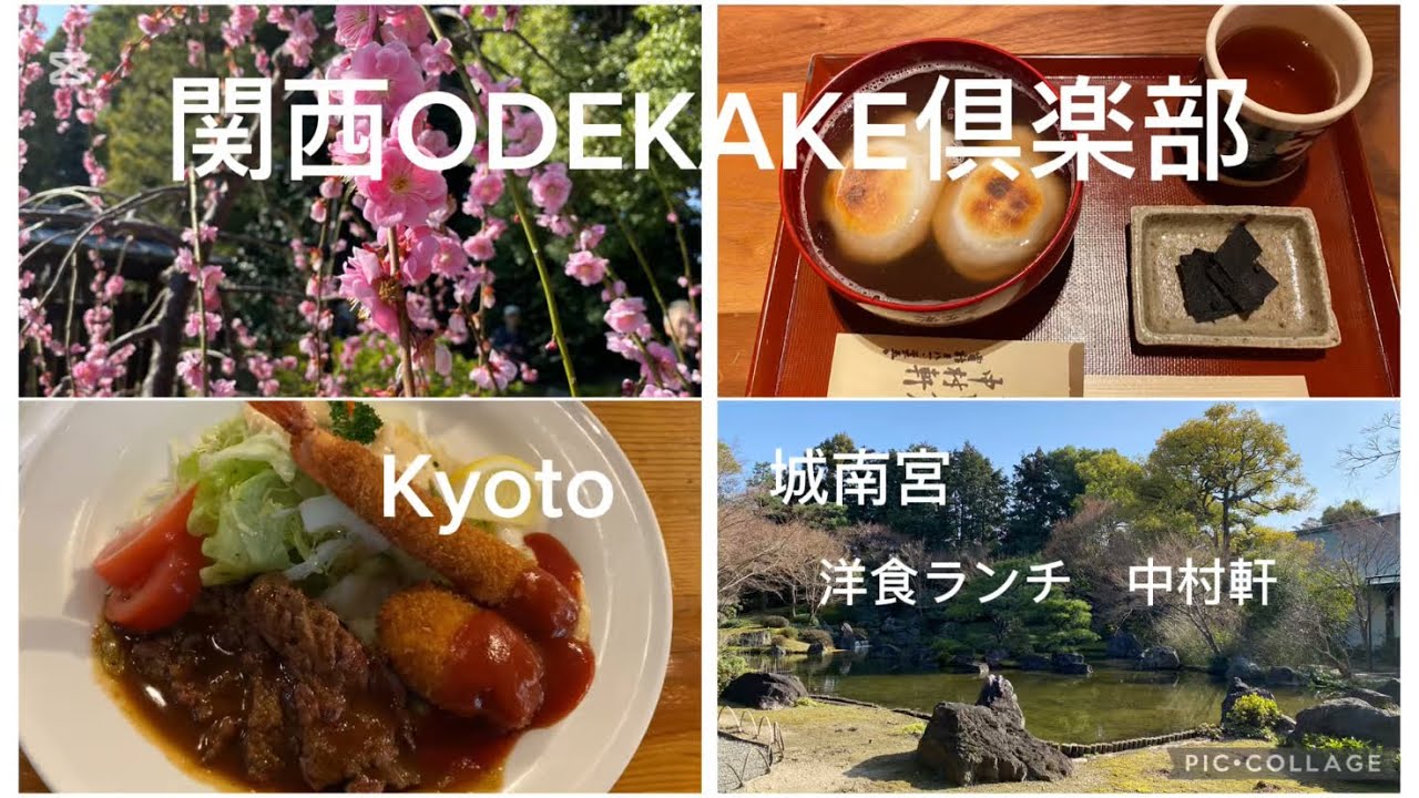 【観光】京都伏見の城南宮|しだれ梅🌺|中村軒|サラダの店サンチョ🥗