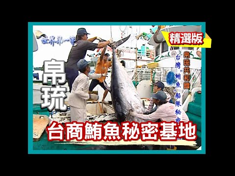 【帛琉】魚王黑鮪魚上岸 台商鮪魚秘密基地｜《世界第一等》162集小馬精華版