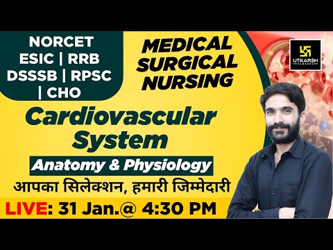 Cardiovascular System(Anatomy & physiology)| MSN |NORCET | ESIC | RRB | DSSSB | RPSC | CHO| Raju Sir