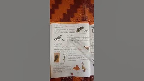 class 3 science chapter 7 birds: and feathered friends.🐦🐤🐦🐦🐤🐤