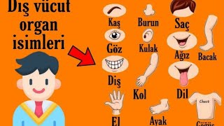 تعلم اللغة التركية بسهولة - طريقة نطق اعضاء جسم الانسان بالتركي | telaffuz akademi