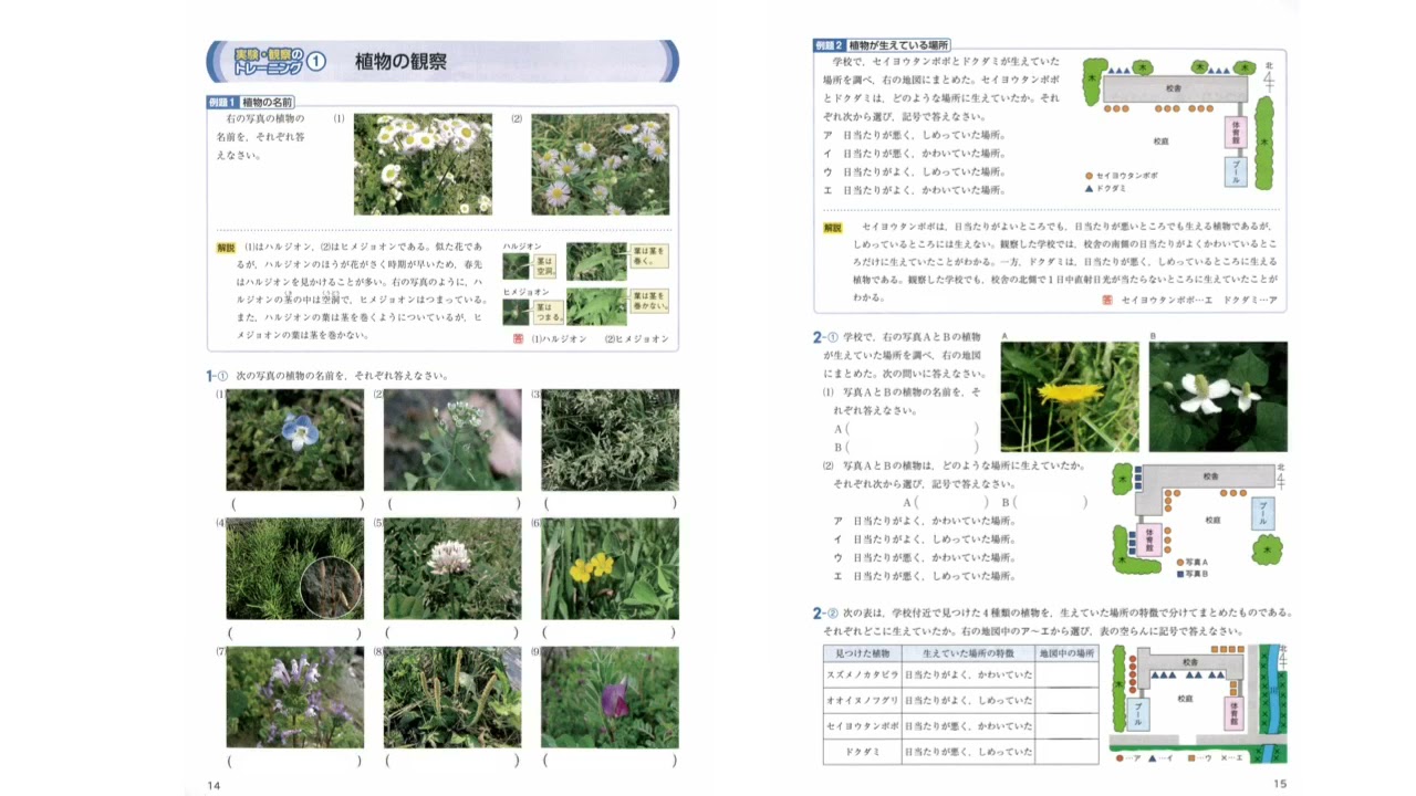 21年3月21日 Youtube 21年3月21日 Youtube