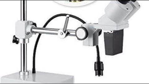 incomparable 7 Lab Stereo Microscopes That Are ideal