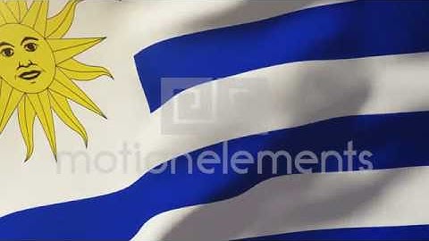 Uruguay Flag Waving In The Wind. Looping Sun Rises Style. Animation Loop Stock Animation