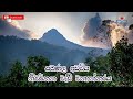 සමණල අඩවිය වළාකුළු වැසි වනාන්තරය - Adam&#39;s peak