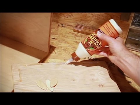 Vídeo: És millor la Gorilla Wood Glue que la d'Elmer?