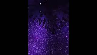 El mejor museo del mundo se encuentra en Tokio Japon. TeamLab Planets