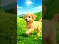 dog running #cutedog #dog #running #dogrunnig #puppy