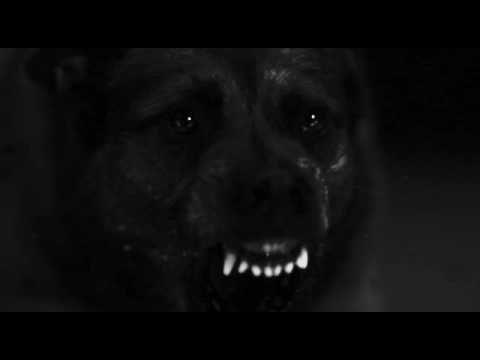 برومو رواية لست وحدك حبيبها راشد الجديدي 