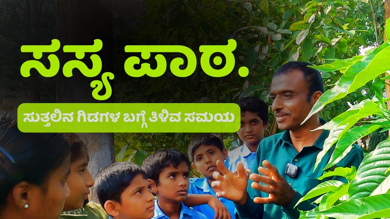 ಕಳೆ ಗಿಡಗಳಲ್ಲ ಆರೋಗ್ಯ ಮೂಲಗಳು|ನಾವು ಮರೆತ ಔಷಧಿ ಸಸ್ಯಗಳು|ಗಿಡ ಗುರುತಿಸಿ ಪಠ್ಯೇತರ ಚಟುವಟಿಕೆ|Herbal plants.