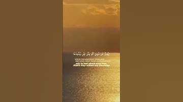 #محمد_صديق_المنشاوي #تلاوة_خاشعة #حالات_واتس #اكسبلور #quran #explore