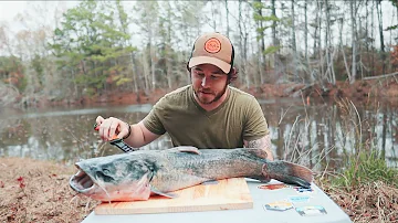 How to Fillet A Catfish With Nothing But A Knife