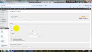 Google +1 Button Plugin for Wordpress - Tutorial