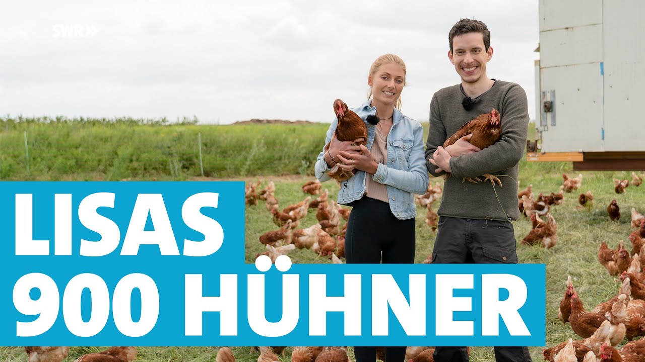 Hühnerhof statt Studium: Lisas Leben als junge Landwirtin mit 900 Hühnern | SWR Heimat