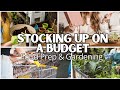 Stocking Up On A Budget | Small Meal Prep & Transferring Our Seedlings