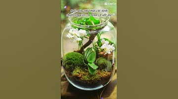 ⏰️hữu hạn #cuocsong #dongluc #phattrienbanthan #baihoccuocsong #thaydoibanthan #tưduytíchcực #hoctap