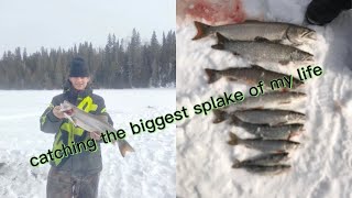 Catching The biggest Splake trout of my life￼