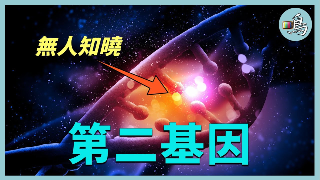 第二基因，會引發「熵異常」的基因，預言了人類的未來