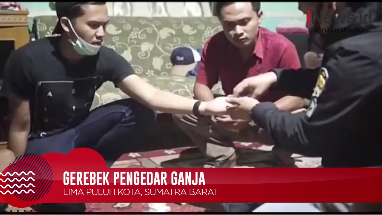 Ungkap Peredaran Ganja 135 Kg, Polisi Amankan 2 Orang