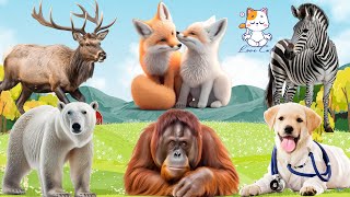 Funniest Animal Sounds In Nature: Zebra, Fox, Deer, Bear, Monkey, Dog - Animal Sounds