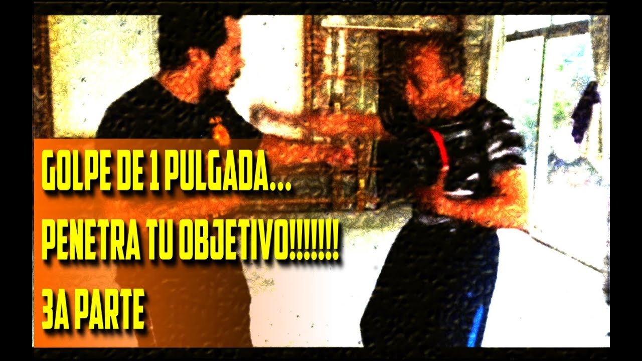 Bruce Lee One Inch Punch Slow Motion