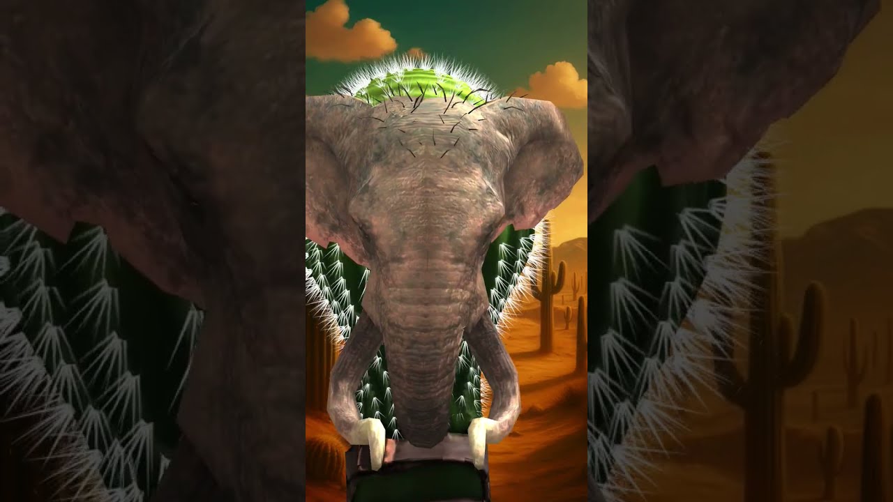 Lirili Larila 3D Entrainment Video Comady 3d