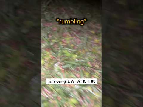 If you hear this, leave immediately..