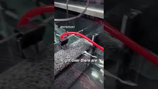 #marinefiltration #seascapes #fish #fishaquarium #filtermedia