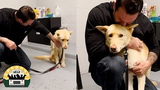 This girl was terrified in the shelter but she's free now | Lee Asher